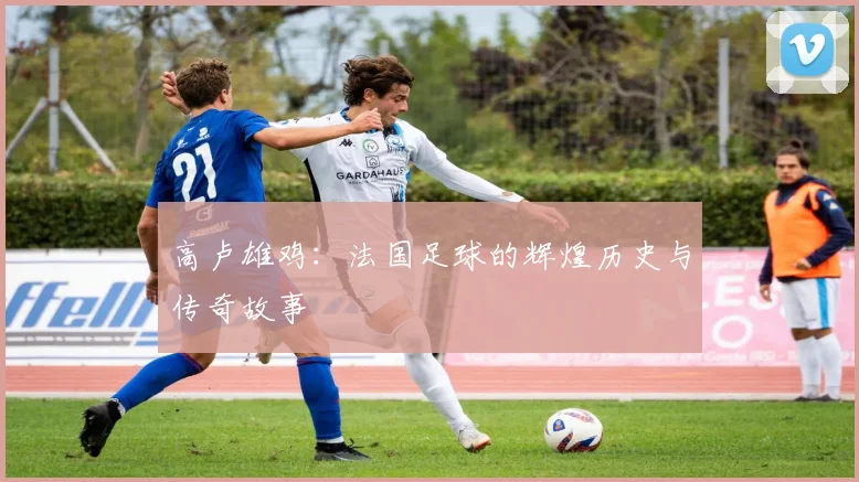 高卢雄鸡：法国足球的辉煌历史与传奇故事